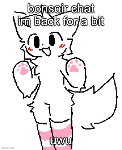 this is not tweak this is the femboy ghost that possesses him sometimes | bonsoir chat im back for a bit; uwu | image tagged in boykisser | made w/ Imgflip meme maker