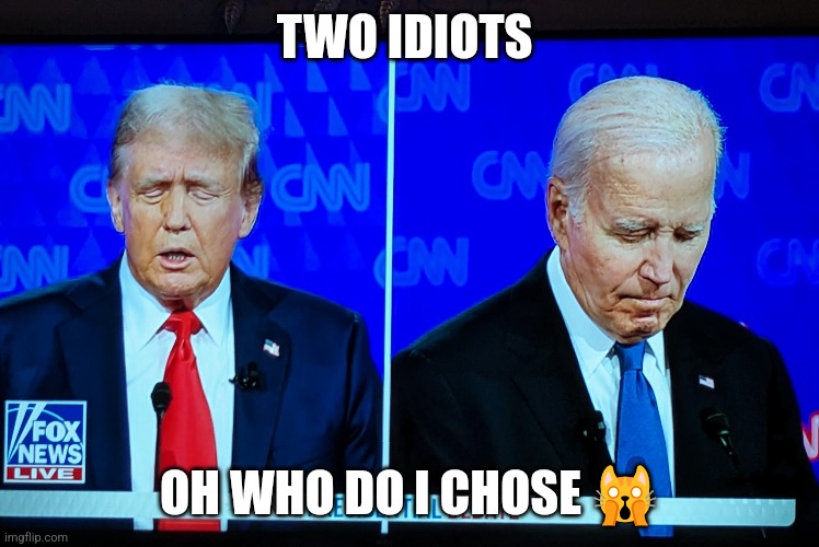 TWO IDIOTS; OH WHO DO I CHOSE 🙀 | made w/ Imgflip meme maker
