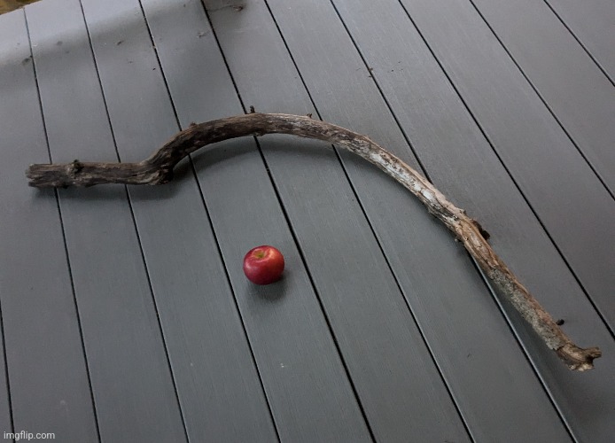 Large wooden scythe: +20 attack +30 weight -30 balance (apple for scale) | image tagged in stick | made w/ Imgflip meme maker
