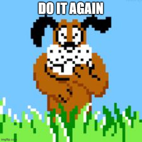 DUCK HUNT DOG LAUGHS AT YOUR STUPIDITY | DO IT AGAIN | image tagged in duck hunt dog laughs at your stupidity | made w/ Imgflip meme maker