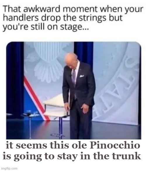 it seems this ole Pinocchio is going to stay in the trunk | made w/ Imgflip meme maker