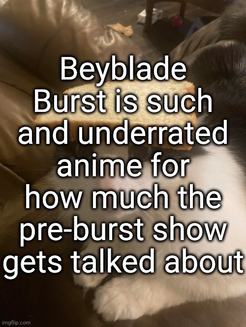 bread cat | Beyblade Burst is such and underrated anime for how much the pre-burst show gets talked about | image tagged in bread cat | made w/ Imgflip meme maker