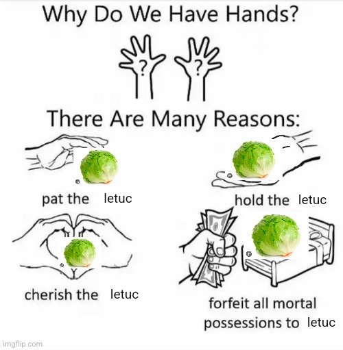 letuc | letuc; letuc; letuc; letuc | image tagged in why do we have hands all blank,lettuce,shitpost | made w/ Imgflip meme maker