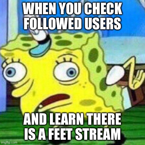 Feet Stream? | WHEN YOU CHECK FOLLOWED USERS; AND LEARN THERE IS A FEET STREAM | image tagged in triggerpaul,feet | made w/ Imgflip meme maker