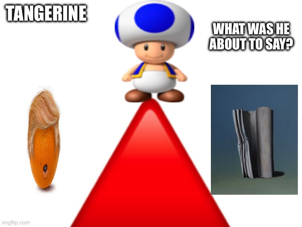 TANGERINE; WHAT WAS HE ABOUT TO SAY? | made w/ Imgflip meme maker