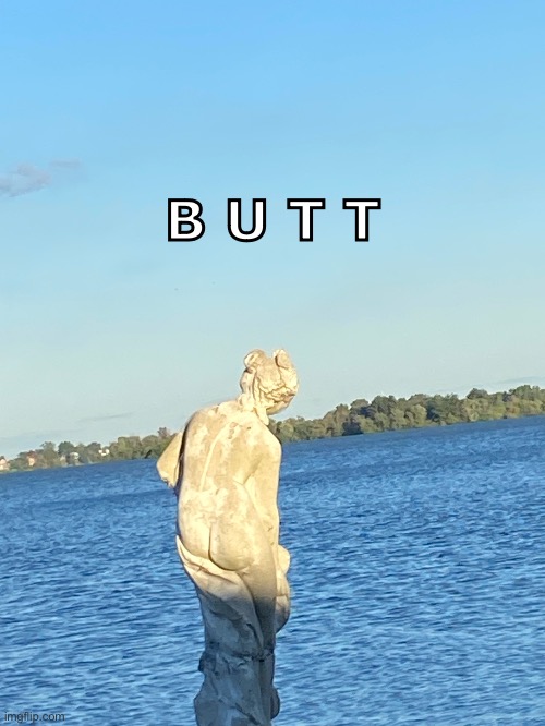 Took this picture a year ago at a party. This little girl pointed it out and it was funny | B U T T | image tagged in statue,funny | made w/ Imgflip meme maker