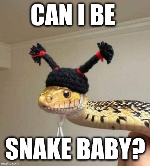 CAN I BE SNAKE BABY? | made w/ Imgflip meme maker