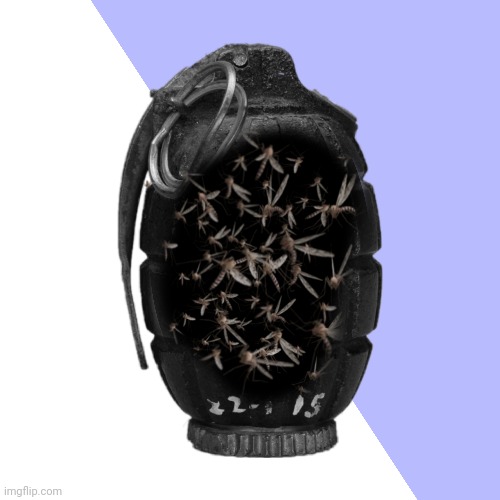 Grenade full of mosquitoes | made w/ Imgflip meme maker