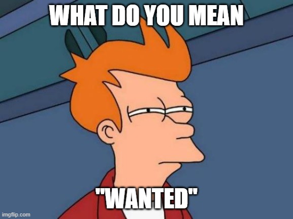 Futurama Fry Meme | WHAT DO YOU MEAN "WANTED" | image tagged in memes,futurama fry | made w/ Imgflip meme maker