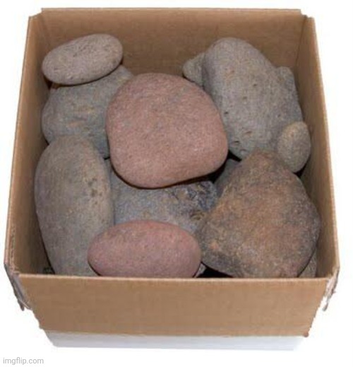 Box of Rocks | image tagged in box of rocks | made w/ Imgflip meme maker