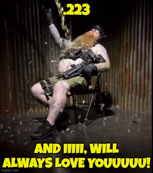 My bodyguard | .223; AND IIIII, WILL ALWAYS LOVE YOUUUUU! | image tagged in ammo,guns,second amendment,2a,2nd amendment,right to bear arms | made w/ Imgflip meme maker