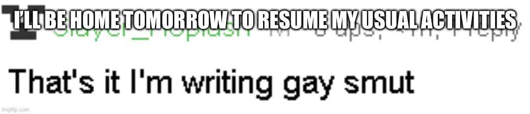 Time to work on an bunch of stories and stuff | I’LL BE HOME TOMORROW TO RESUME MY USUAL ACTIVITIES | image tagged in gay smut | made w/ Imgflip meme maker