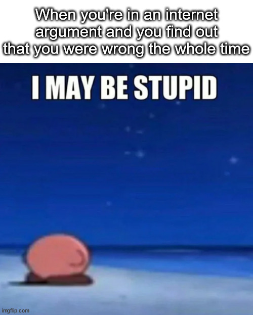 i may be stupid | When you're in an internet argument and you find out that you were wrong the whole time | image tagged in i may be stupid,argument,internet argument,internet,kirby,stupid | made w/ Imgflip meme maker