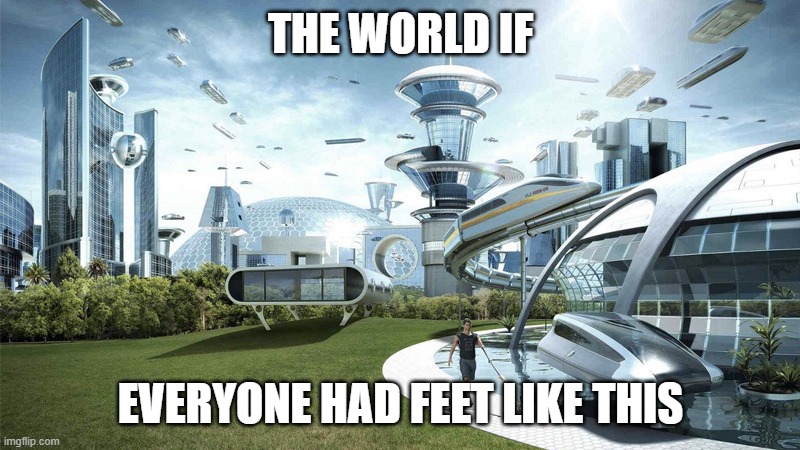 The future world if | THE WORLD IF; EVERYONE HAD FEET LIKE THIS | image tagged in the future world if | made w/ Imgflip meme maker