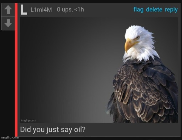 Did you just say oil? | image tagged in did you just say oil | made w/ Imgflip meme maker