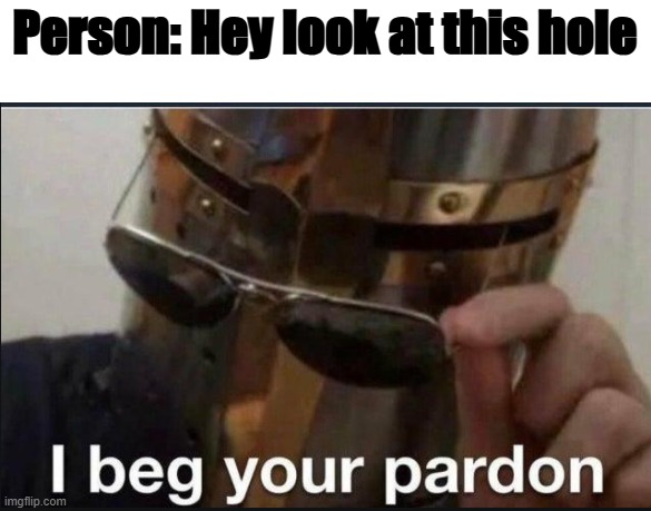 I beg your pardon | Person: Hey look at this hole | image tagged in i beg your pardon | made w/ Imgflip meme maker