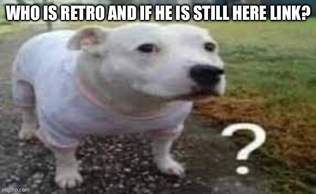 ? | WHO IS RETRO AND IF HE IS STILL HERE LINK? | image tagged in question mark dog | made w/ Imgflip meme maker