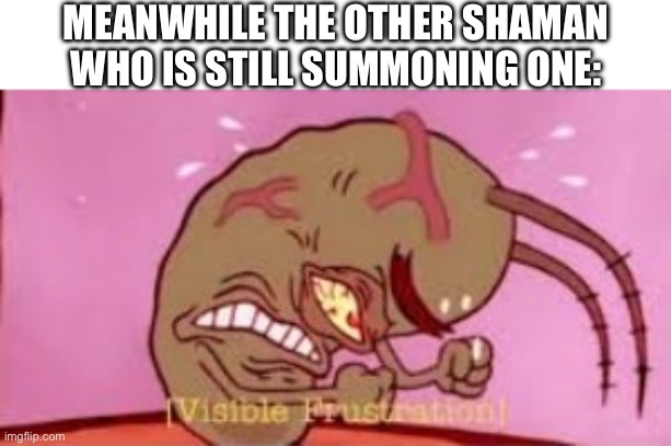 Visible Frustration | MEANWHILE THE OTHER SHAMAN WHO IS STILL SUMMONING ONE: | image tagged in visible frustration | made w/ Imgflip meme maker