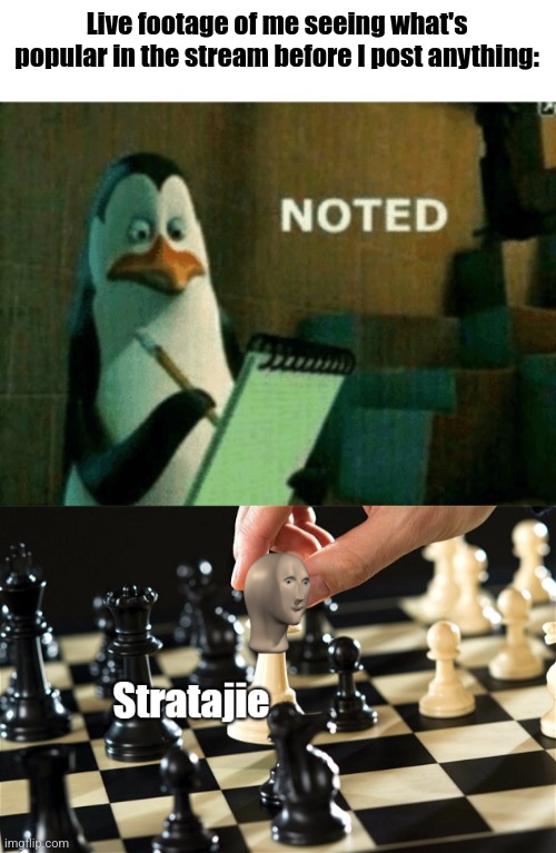 It is strateje | Live footage of me seeing what's popular in the stream before I post anything: | image tagged in noted,meme man stratajie | made w/ Imgflip meme maker