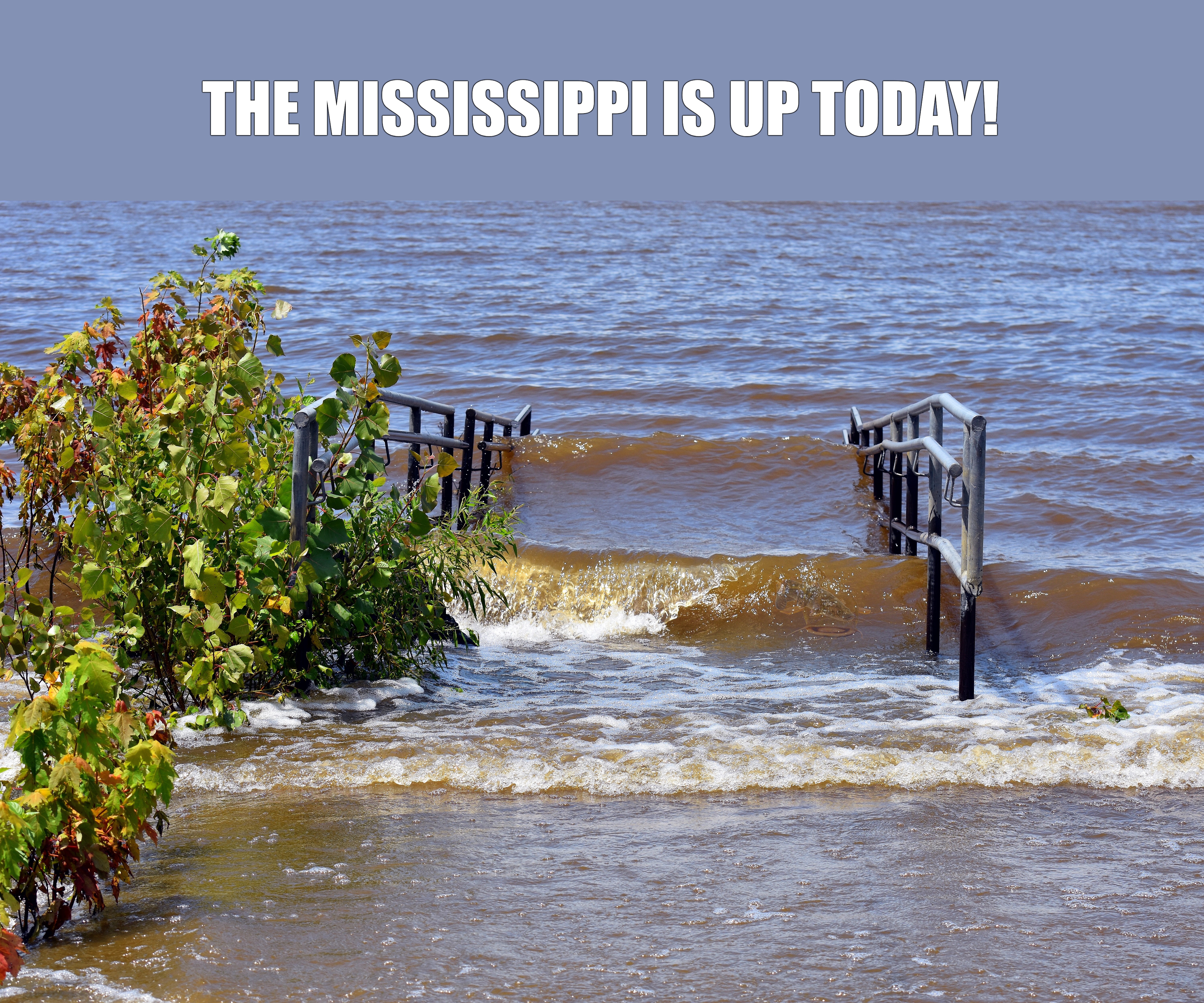 THE MISSISSIPPI IS UP TODAY! | made w/ Imgflip meme maker