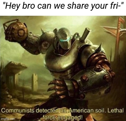 That McDonald's never saw such merica in one sitting | "Hey bro can we share your fri-" | image tagged in communists detected on american soil fallout | made w/ Imgflip meme maker