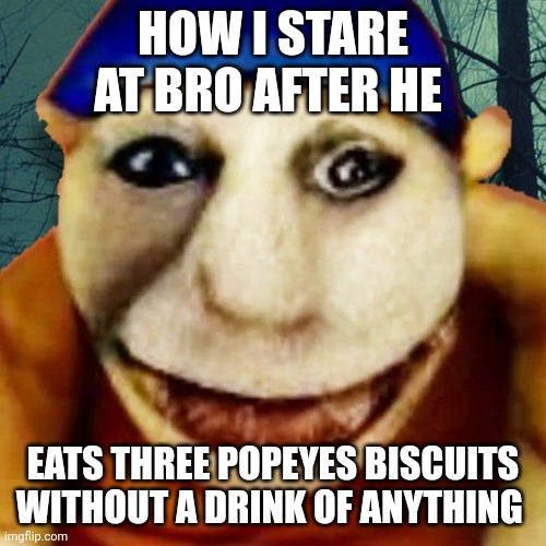 Jeffy's endless aethos | HOW I STARE AT BRO AFTER HE; EATS THREE POPEYES BISCUITS WITHOUT A DRINK OF ANYTHING | image tagged in idk | made w/ Imgflip meme maker
