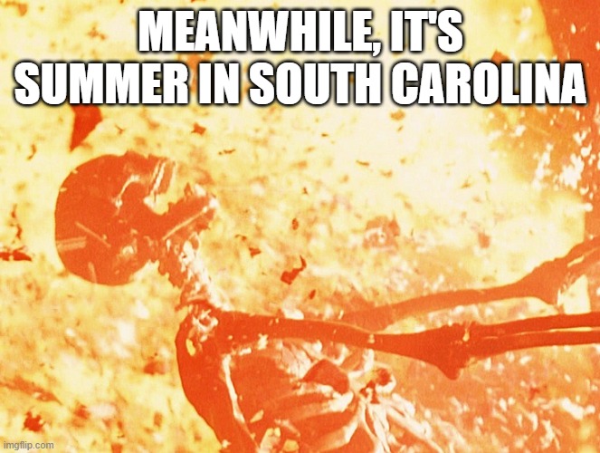 Meanwhile in South Carolina | MEANWHILE, IT'S SUMMER IN SOUTH CAROLINA | image tagged in fire skeleton,south carolina,carolina summer | made w/ Imgflip meme maker