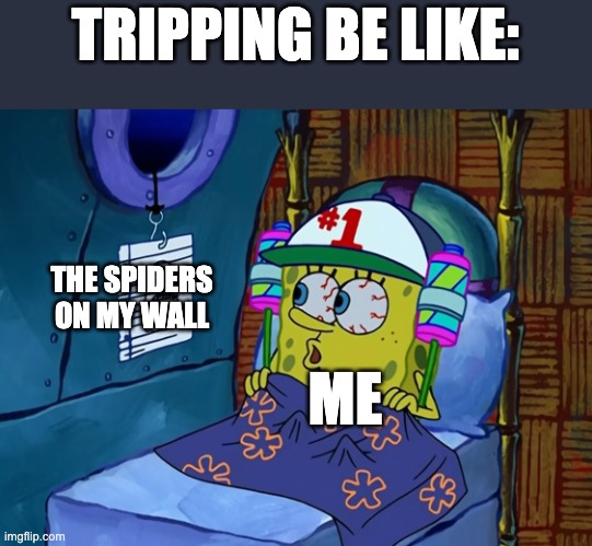 tripping moment | TRIPPING BE LIKE:; THE SPIDERS ON MY WALL; ME | image tagged in psychonaut,tripping,high,funny,spongebob,meme | made w/ Imgflip meme maker