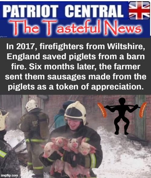 Sausage Heroes | image tagged in firefighter | made w/ Imgflip meme maker