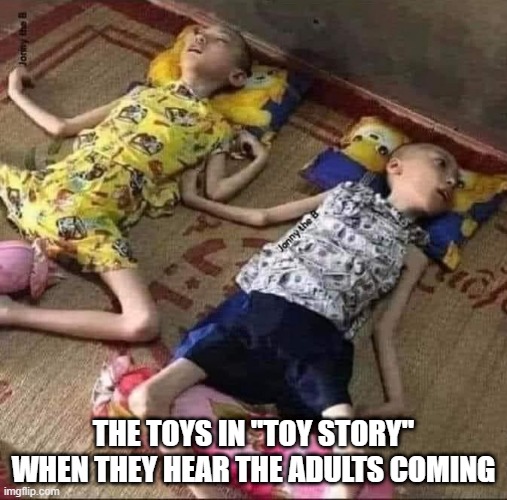 Freeze Toys | THE TOYS IN "TOY STORY" WHEN THEY HEAR THE ADULTS COMING | image tagged in dark humor | made w/ Imgflip meme maker