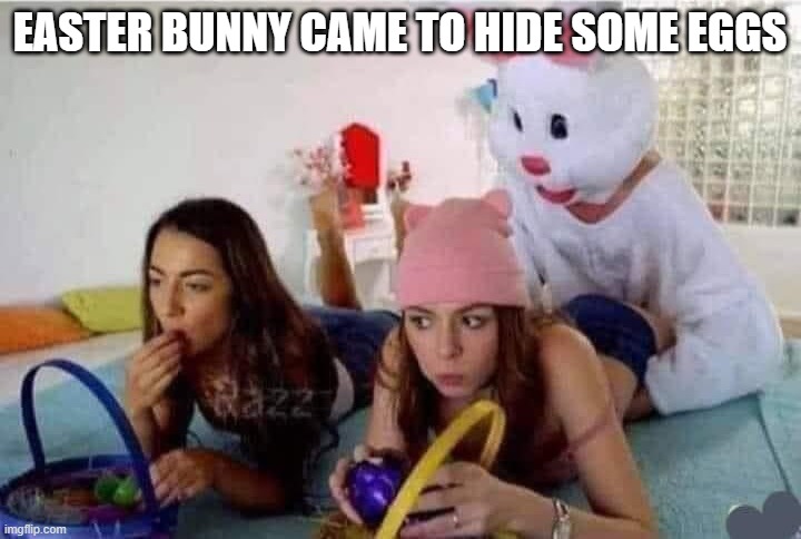 Easter Bunny | EASTER BUNNY CAME TO HIDE SOME EGGS | image tagged in sex jokes | made w/ Imgflip meme maker