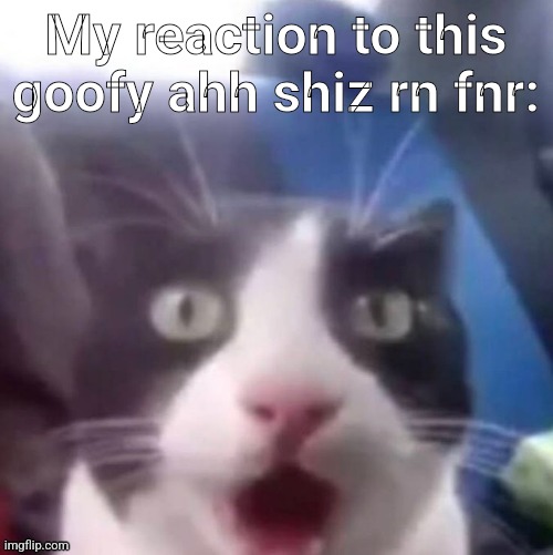 Mfw someone says that Guilty Gear Strive is better than even Titanfall II when we're in Hell (Got turned into a cat bruh! ?): | My reaction to this goofy ahh shiz rn fnr: | image tagged in cat shocked,goofy ahh,gaming,titanfall 2,guilty,memes | made w/ Imgflip meme maker