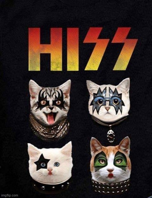 Rock and Roll All Nite and Meow Every Day | image tagged in kiss | made w/ Imgflip meme maker