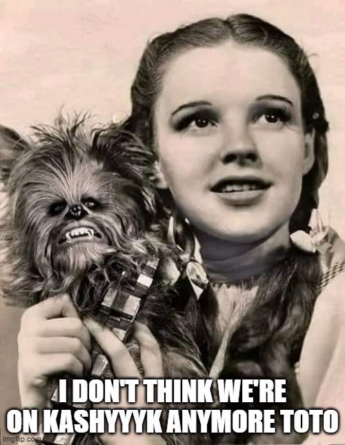 Toto Wookie | I DON'T THINK WE'RE ON KASHYYYK ANYMORE TOTO | image tagged in star wars | made w/ Imgflip meme maker