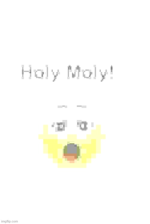 Holy Moly! | image tagged in holy moly | made w/ Imgflip meme maker