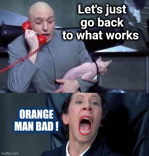 Dr Evil and Frau | Let's just go back to what works ORANGE MAN BAD ! | image tagged in dr evil and frau | made w/ Imgflip meme maker