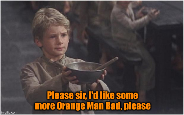 More Like Plot Twist | Please sir, I'd like some more Orange Man Bad, please | image tagged in oliver twist please sir,political meme,politics,funny memes,funny | made w/ Imgflip meme maker