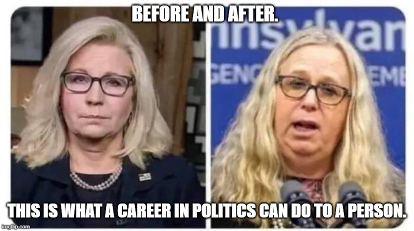 Before and after. This is what a career in politics can do to a person. | BEFORE AND AFTER. THIS IS WHAT A CAREER IN POLITICS CAN DO TO A PERSON. | image tagged in liz cheney,rachel levine | made w/ Imgflip meme maker