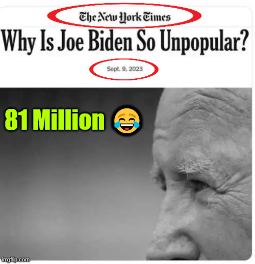 Overwhelming majority know 2020 election was stolen | 81 Million ? | image tagged in biden cult,denial runs deep | made w/ Imgflip meme maker