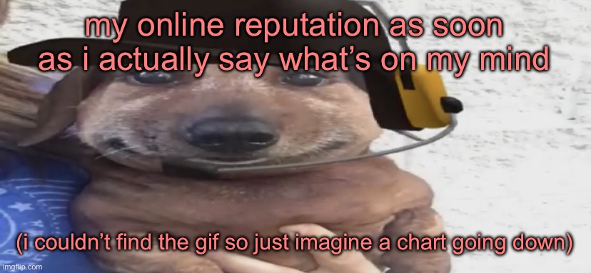chucklenuts | my online reputation as soon as i actually say what’s on my mind; (i couldn’t find the gif so just imagine a chart going down) | image tagged in chucklenuts | made w/ Imgflip meme maker