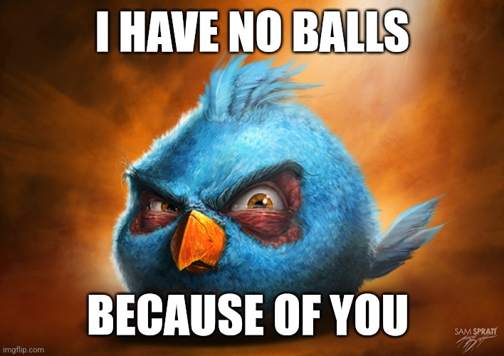 Balls | I HAVE NO BALLS; BECAUSE OF YOU | image tagged in realistic blue angry bird | made w/ Imgflip meme maker