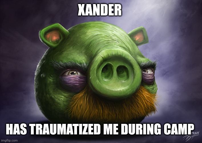 Realistic angry birds | XANDER; HAS TRAUMATIZED ME DURING CAMP | image tagged in realistic angry birds | made w/ Imgflip meme maker