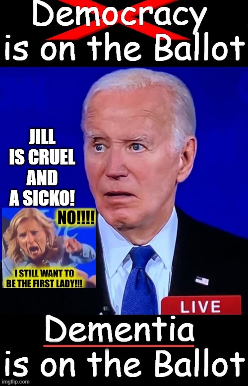 Jill is a Sicko! The Democrats are sick!!! Anyone that would vote for this is sick! | JILL IS CRUEL AND A SICKO! | image tagged in sicko mode | made w/ Imgflip meme maker