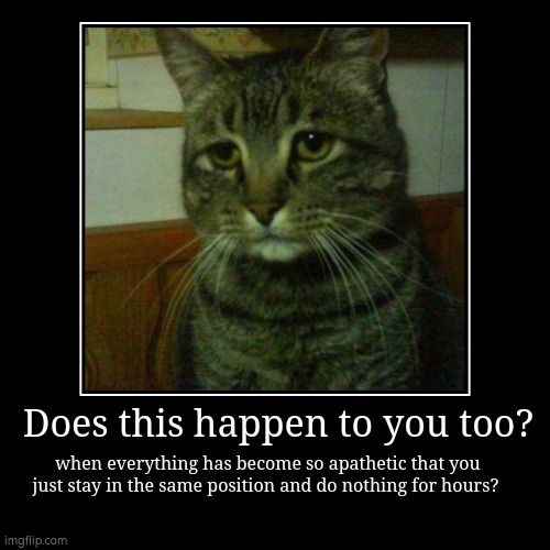 Does this happen to you too? | when everything has become so apathetic that you just stay in the same position and do nothing for hours? | image tagged in kitty cat,cat,kitty,apathy | made w/ Imgflip demotivational maker