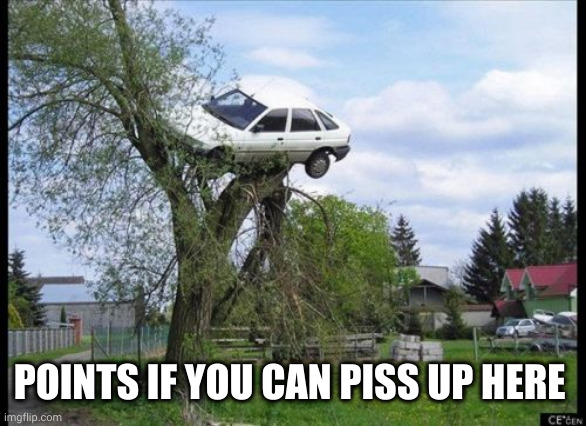 Secure Parking Meme | POINTS IF YOU CAN PISS UP HERE | image tagged in memes,secure parking | made w/ Imgflip meme maker