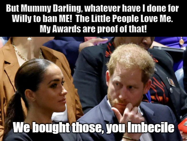 Banned By Bro | But Mummy Darling, whatever have I done for 
Willy to ban ME!  The Little People Love Me. 
My Awards are proof of that! We bought those, you Imbecile | image tagged in prince harry,meghan markle,duke and duchess of sussex | made w/ Imgflip meme maker