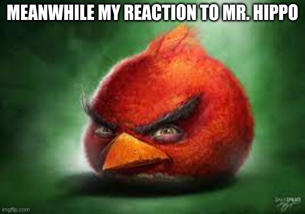 Realistic Red Angry Birds | MEANWHILE MY REACTION TO MR. HIPPO | image tagged in realistic red angry birds | made w/ Imgflip meme maker