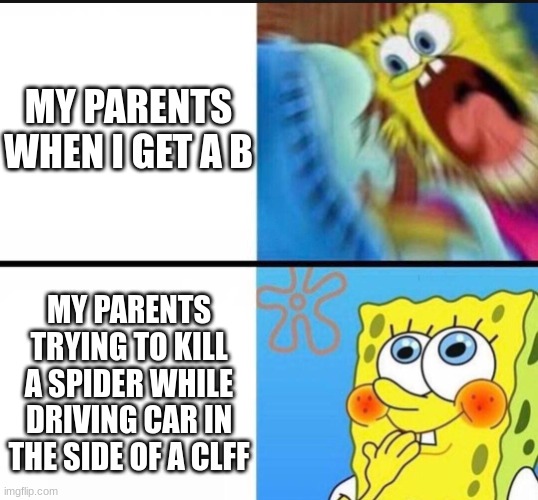Meme that I posted after weeks in the fun stream | MY PARENTS WHEN I GET A B; MY PARENTS TRYING TO KILL A SPIDER WHILE DRIVING CAR IN THE SIDE OF A CLFF | image tagged in spongebob yelling | made w/ Imgflip meme maker