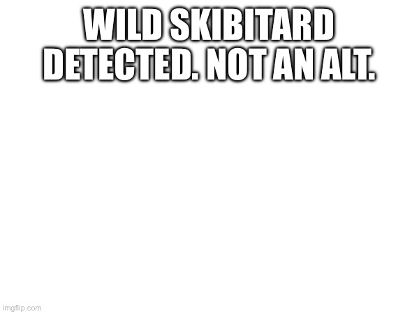 Go to comments | WILD SKIBITARD DETECTED. NOT AN ALT. HTTPS://IMGFLIP.COM/USER/WITTYFACE | image tagged in xd | made w/ Imgflip meme maker