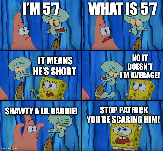 When you make fun of someone for being short | I’M 5’7; WHAT IS 5’7; NO IT DOESN’T I’M AVERAGE! IT MEANS HE’S SHORT; SHAWTY A LIL BADDIE! STOP PATRICK YOU’RE SCARING HIM! | image tagged in stop it patrick you're scaring him | made w/ Imgflip meme maker
